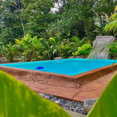 Iki Volcan Arenal With Jacuzzy La Fortuna Dış mekan fotoğraf